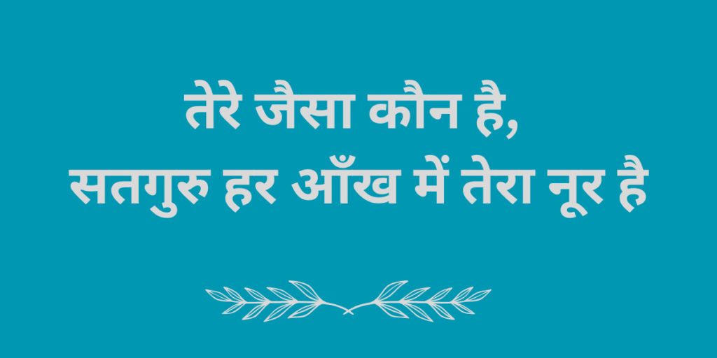 तेरे जैसा कौन है